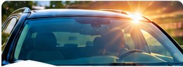 Vehicle windshield